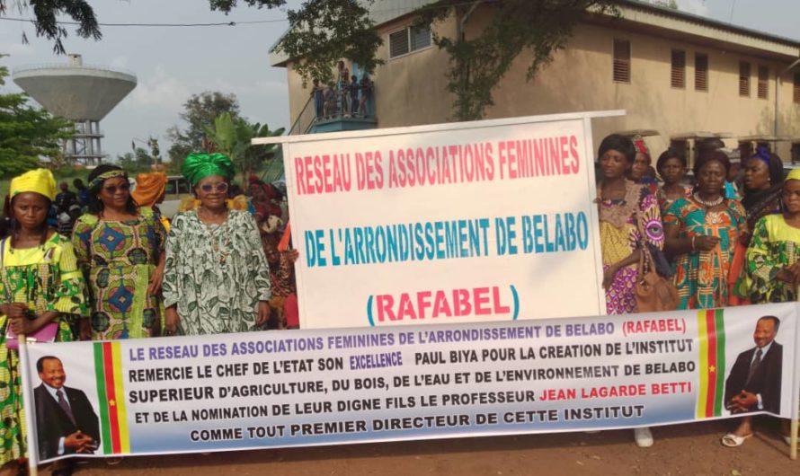 Développement local : Mme Ntsem Mimi Gilberte élue présidente du RAFABEL.     Après plus de 03 ans d’hibernation, le mouvement associatif des femmes de l’arrondissement de Belabo renaît des cendres.