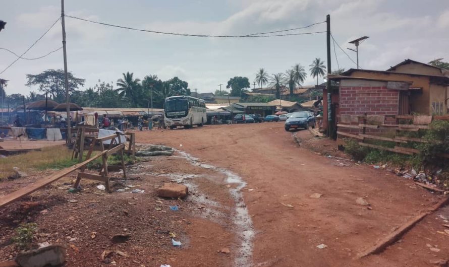 Insécurité : Des gangsters armés de longs couteaux écument la Région de l’Est en général et particulièrement la ville de Bertoua