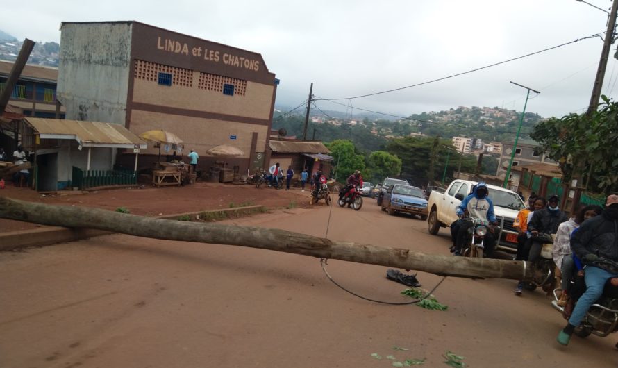 Yaounde : Un poteau électrique créé la panique.