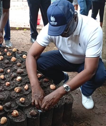 Anafor : le Personnel s’implique dans la création des Pépinières d’Arbres Fruitiers.