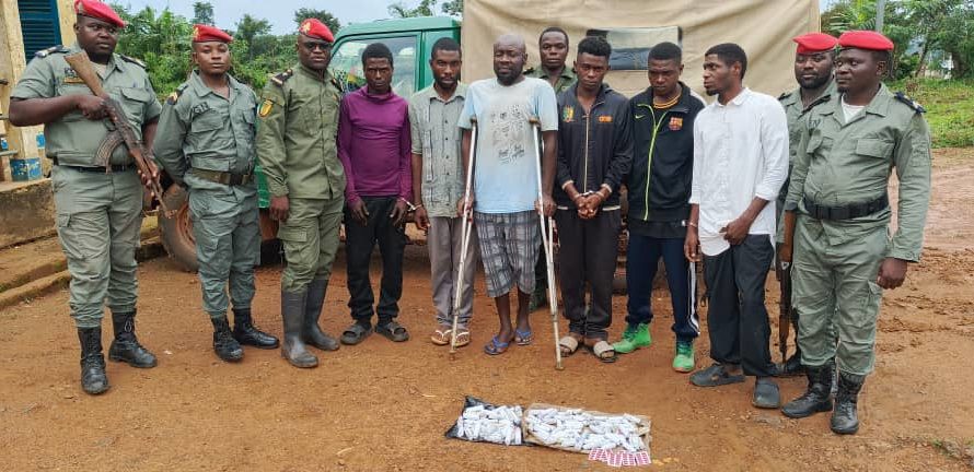 Coup de filet anti-drogue à Ngoyla : Des dealers présumés interpellés, des élèves ciblés.